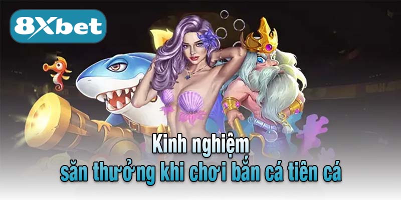 Kinh nghiệm săn thưởng khi chơi bắn cá tiên cá