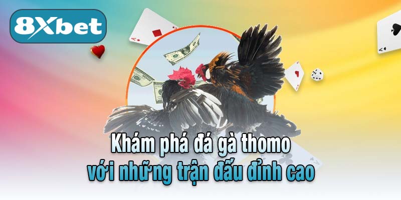 Khám phá đá gà thomo với những trận đấu đỉnh cao