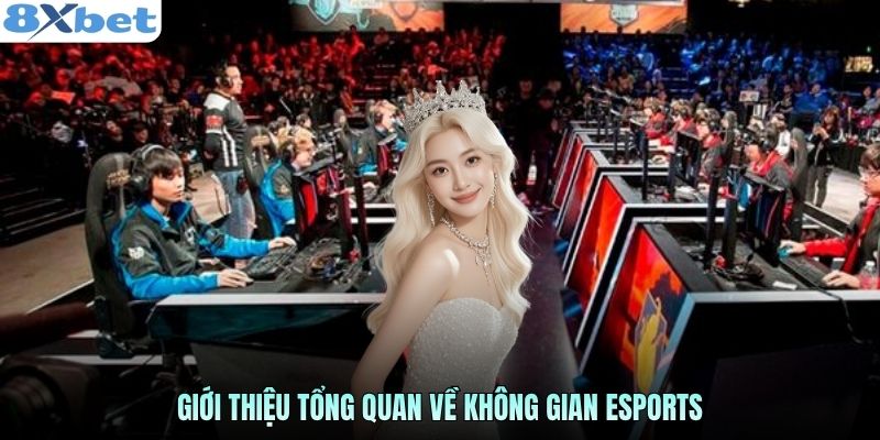 Giới thiệu tổng quan về không gian Esports