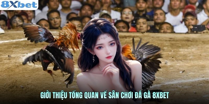 Giới thiệu tổng quan về sân chơi đá gà 8xbet