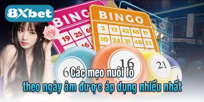 Các mẹo nuôi lô theo ngày âm được áp dụng nhiều nhất