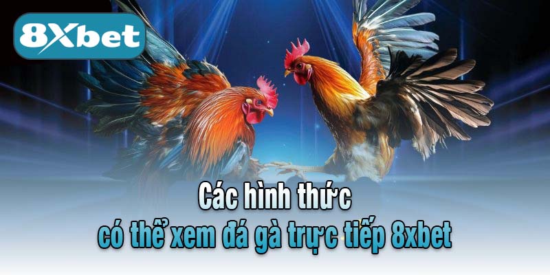 Các hình thức có thể xem đá gà trực tiếp 8xbet