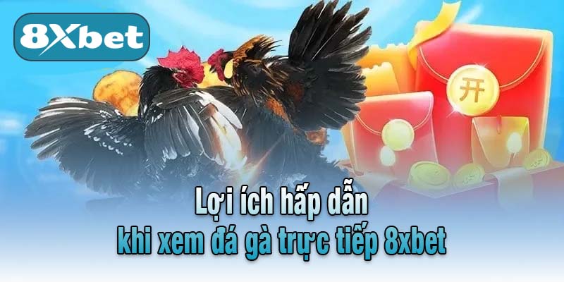 Lợi ích hấp dẫn khi xem đá gà trực tiếp 8xbet