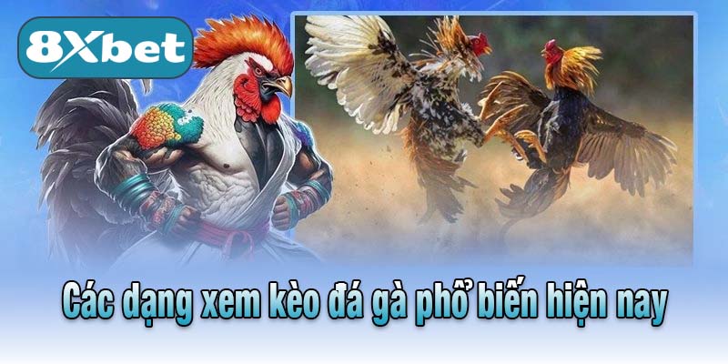 Các dạng xem kèo đá gà phổ biến hiện nay