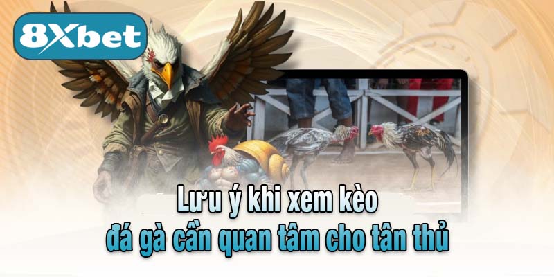 Lưu ý khi xem kèo đá gà cần quan tâm cho tân thủ